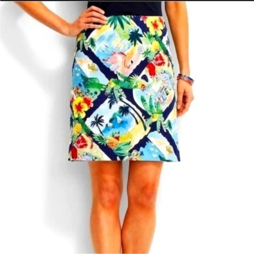 Talbots Blue & Green Windowpane  Flamingo Tropical Print A-Line Skirt Size  10
